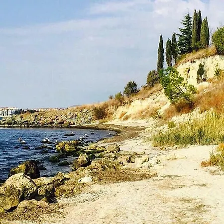Single Studio In Chateau Del Marina Apartment *